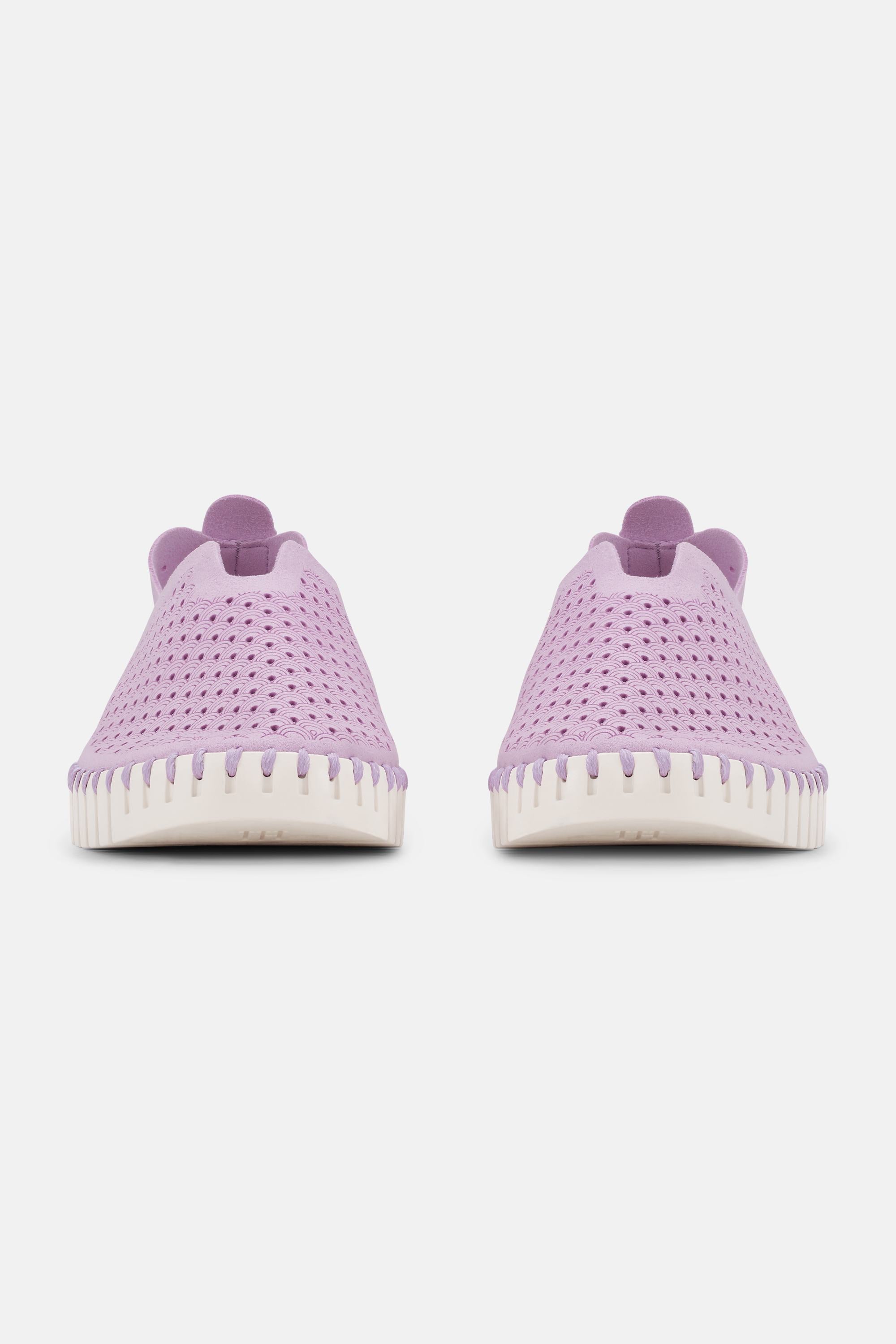 Tulip Flats - Bubble